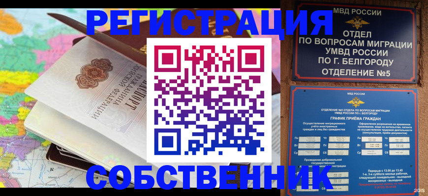 временная регистрация гарантия в Лесном